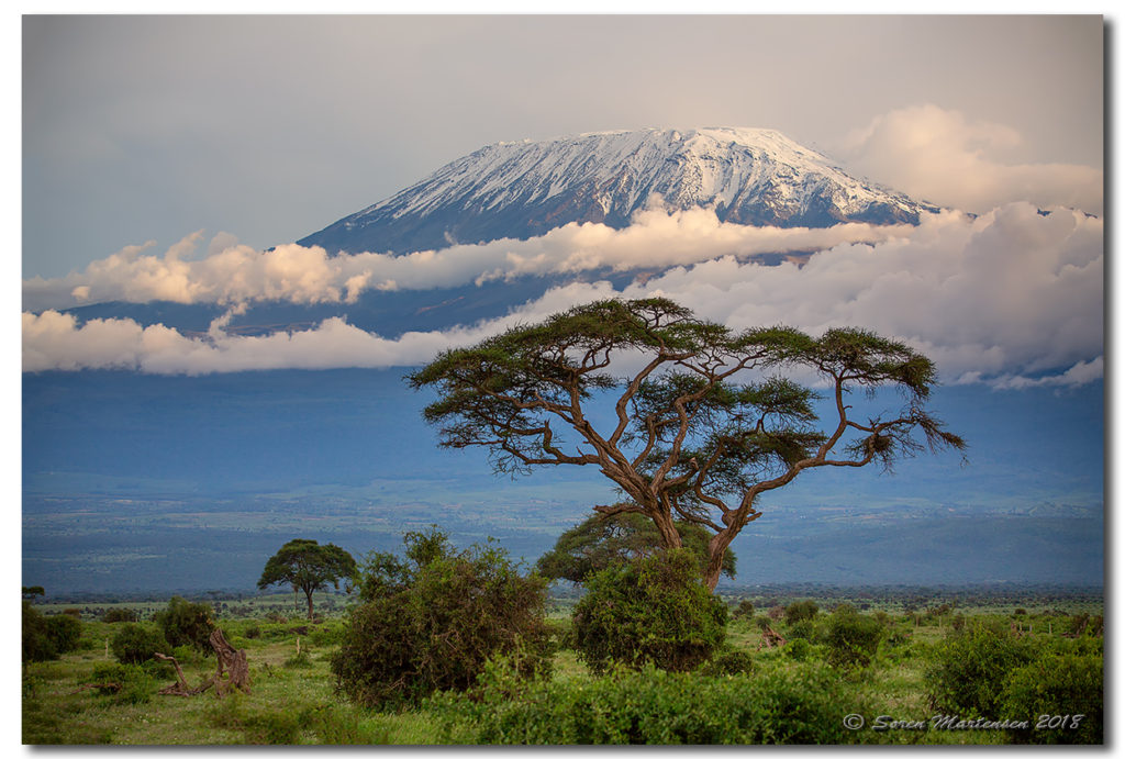 Mount Kilimanjaro